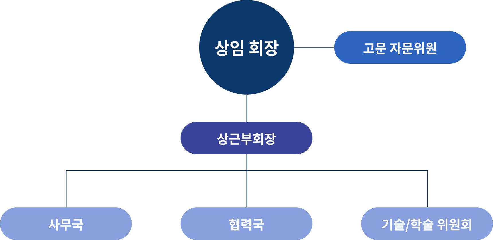 (사)한국사이버안전협회 조직도